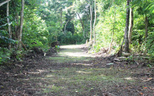 Saleimoa – 1/4 Acres for Sale