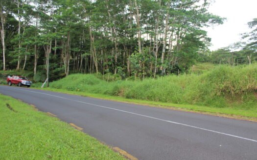 One Acre for Sale in Tiavi