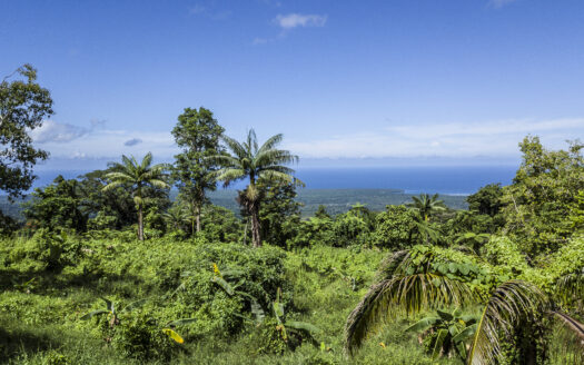 Bulk Subdivision section for Sale in Tiavi