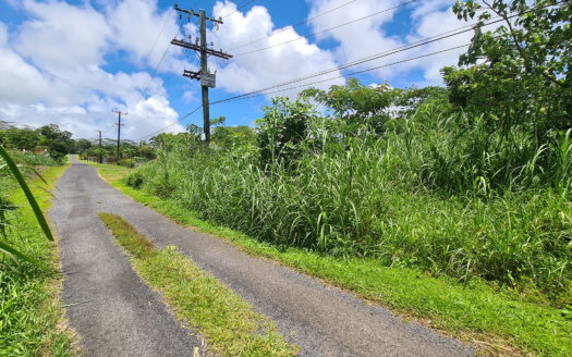 Vacant Half Acre for Sale in Tiapapata