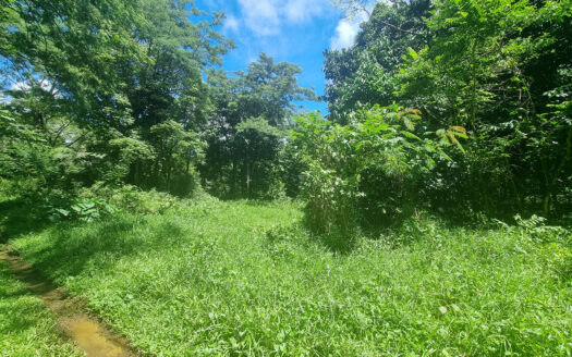 One Acre Lot for Sale in Malololelei