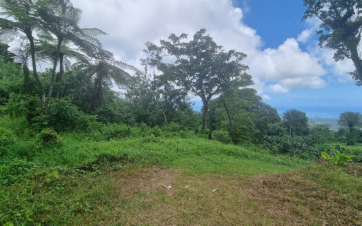 Half Acre Lot for Sale in Malololelei