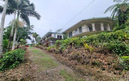 Two Homes on 1.5 Acres for Sale in Aleisa