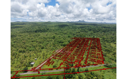 Quarter Acre Lots for Sale in Vaiaata