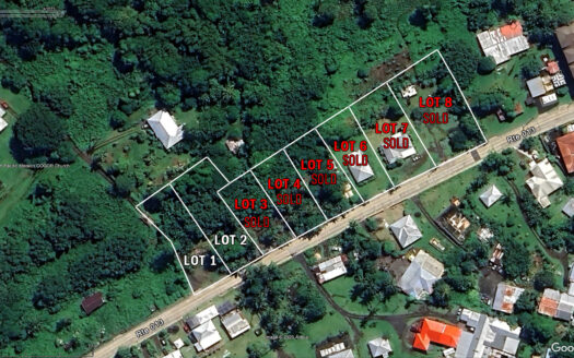 Freehold Lots for Sale in Malaeloa/Leone