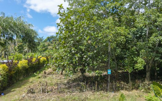 Quarter Acre lot for Sale in Saleimoa-Uta