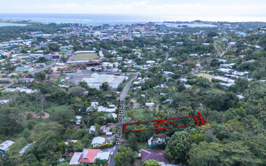 Quarter Acre Lot for Sale in Palisi