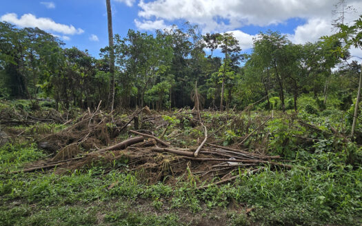 Quarter Acre Lot for Sale in Saleimoa-uta