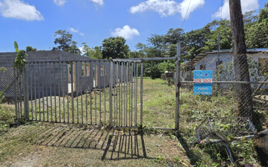 Quarter-Acre for Sale in Tulaele