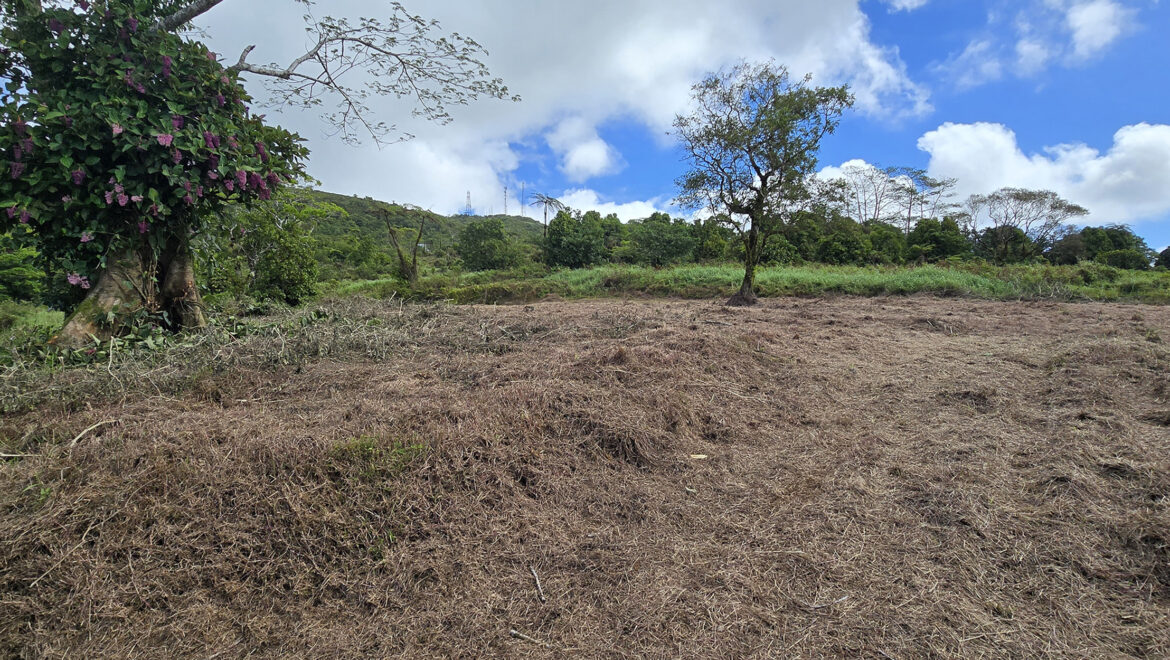 LOT 21