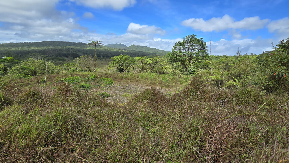 LOT 19