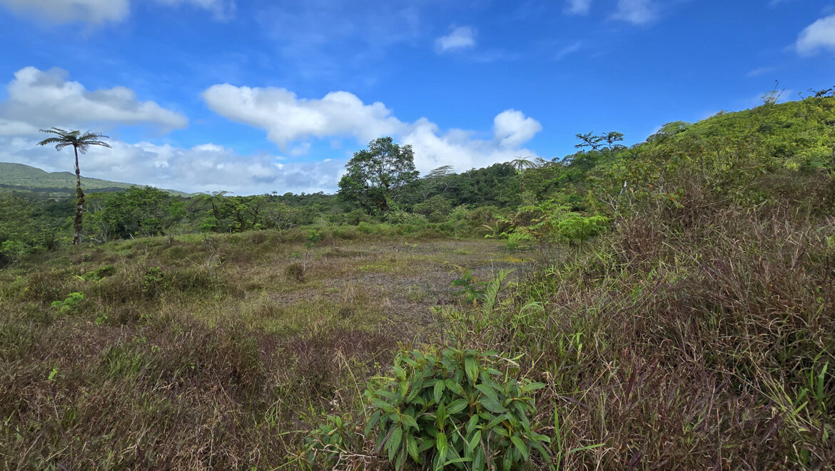 LOT 19