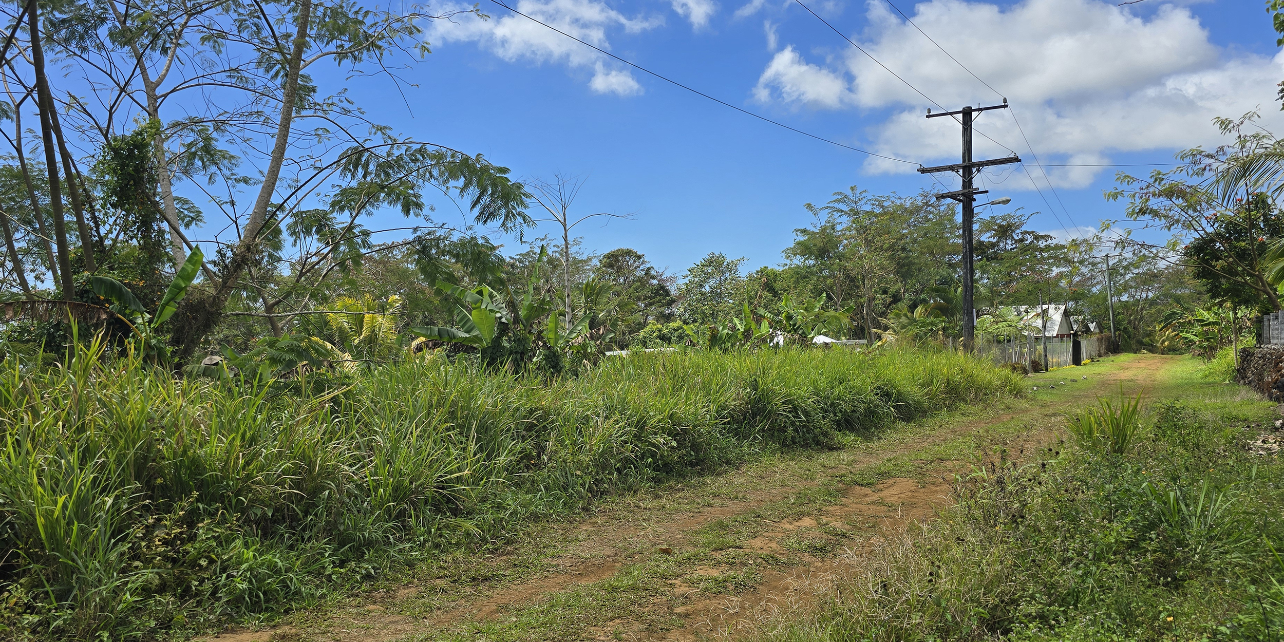 Quarter Acre for Sale in Laloanea