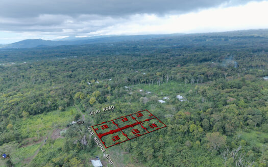 Half-Acre Lots for Sale in Saleimoa-uta