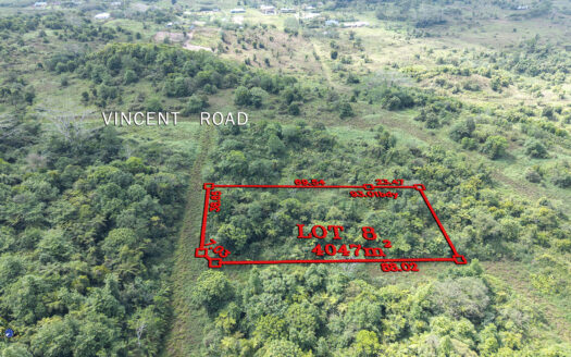 One Acre Vacant Lot for Sale in Afiamalu
