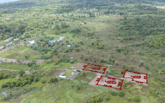Quarter Acre Lots for Sale in Afiamalu