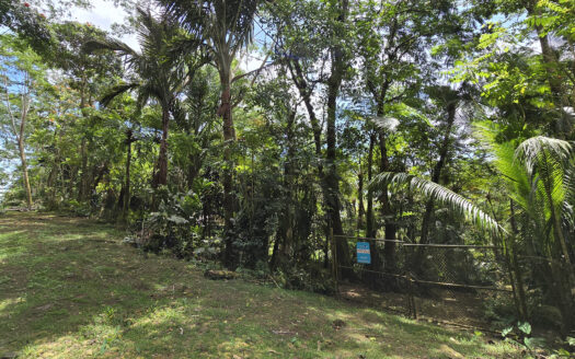 One Acre for Sale in Malololelei