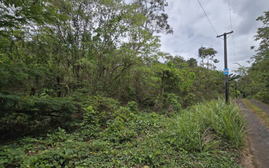 One Acre for Sale in Saleimoa-uta