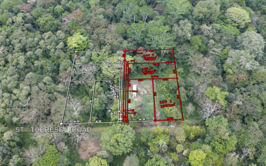 Quarter Acre Lots for Sale in Malololelei