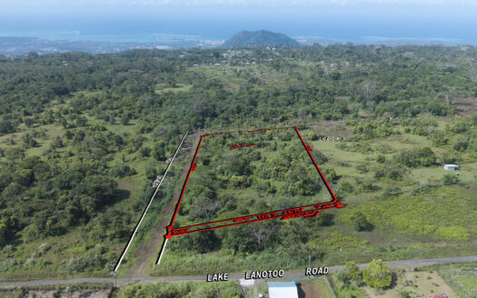 Five Acres for Sale in Afiamalu