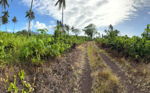 Two Acres for Sale in Ili’ili